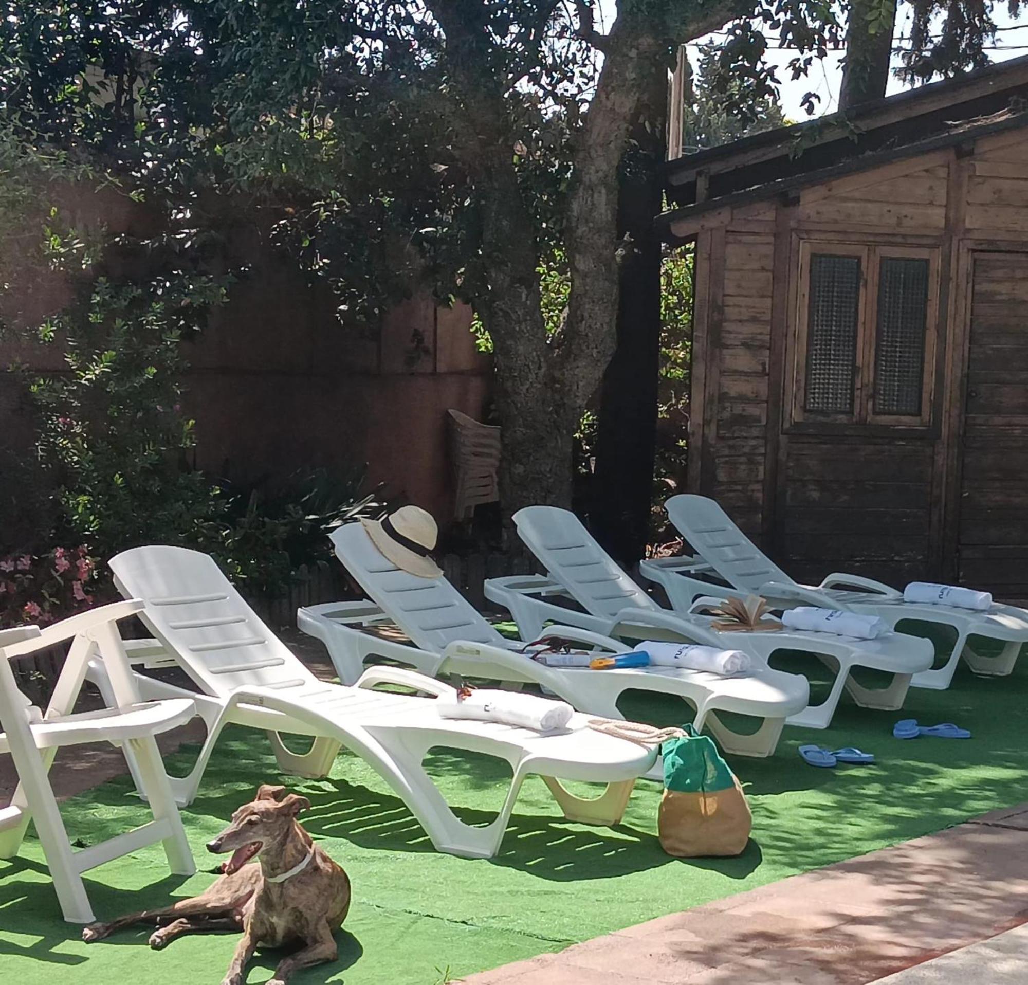 فيلا Casa La Maestra La Muela  المظهر الخارجي الصورة